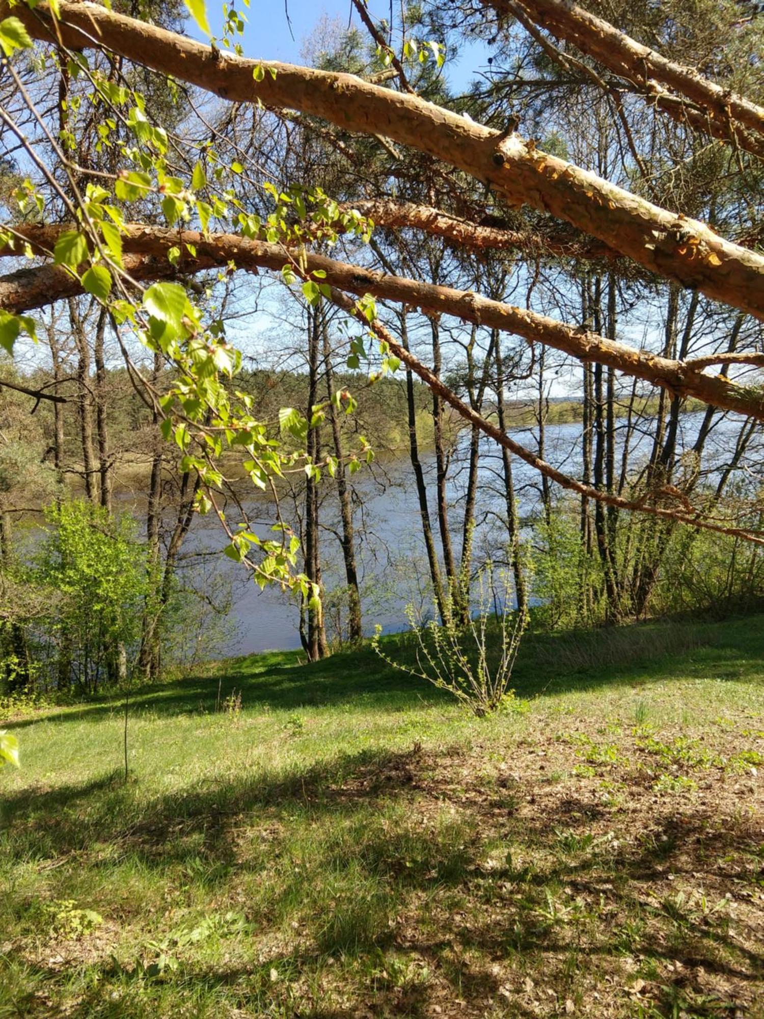 Villa Aromahouse Lipliunai Esterno foto