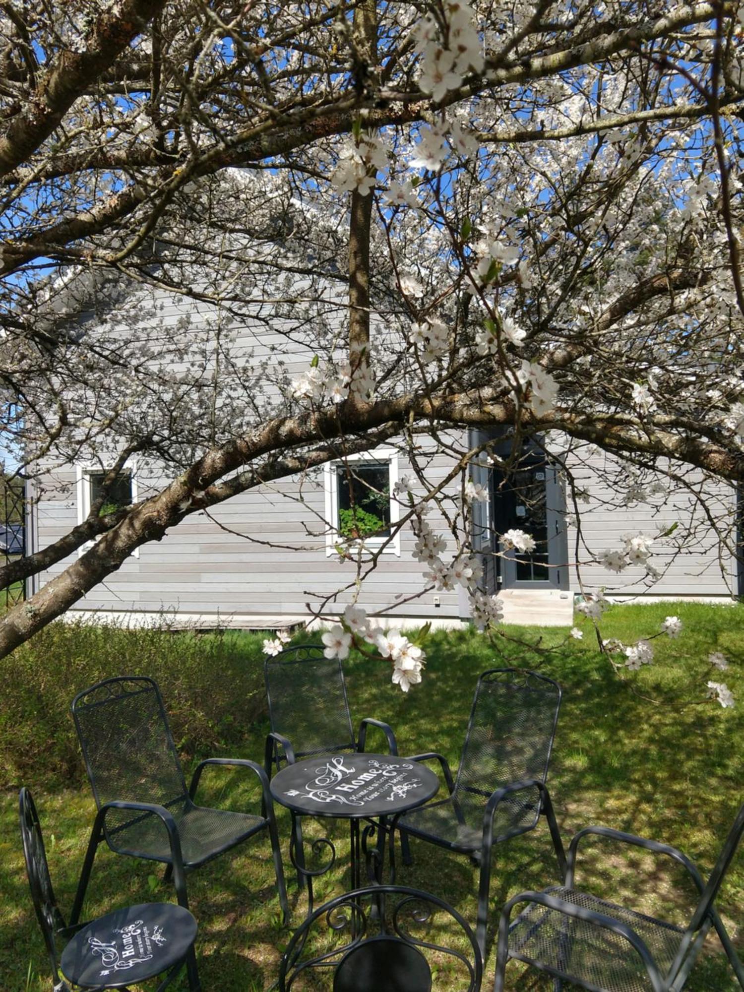 Villa Aromahouse Lipliunai Esterno foto